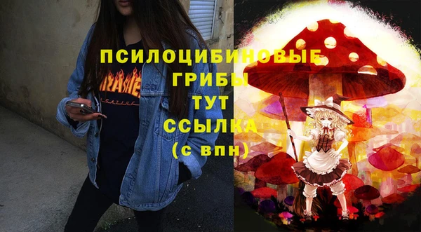 гидропоника Сатка